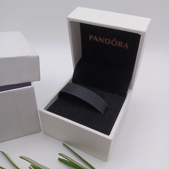 Pandora Box - Empty with outer box - Picture 2 of 5